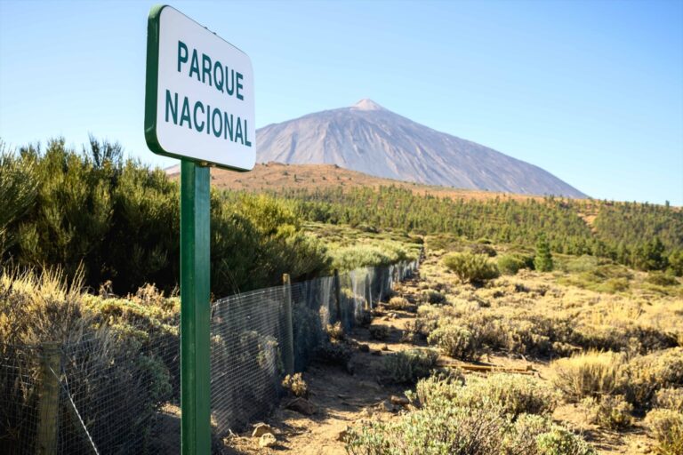 Los expertos hacen un llamamiento a la calma ante los cambios significativos en la actividad del Teide