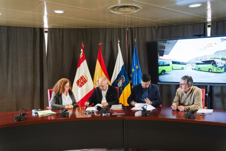 GuaguaGomera renueva su flota de transporte público con 12 nuevas guaguas 