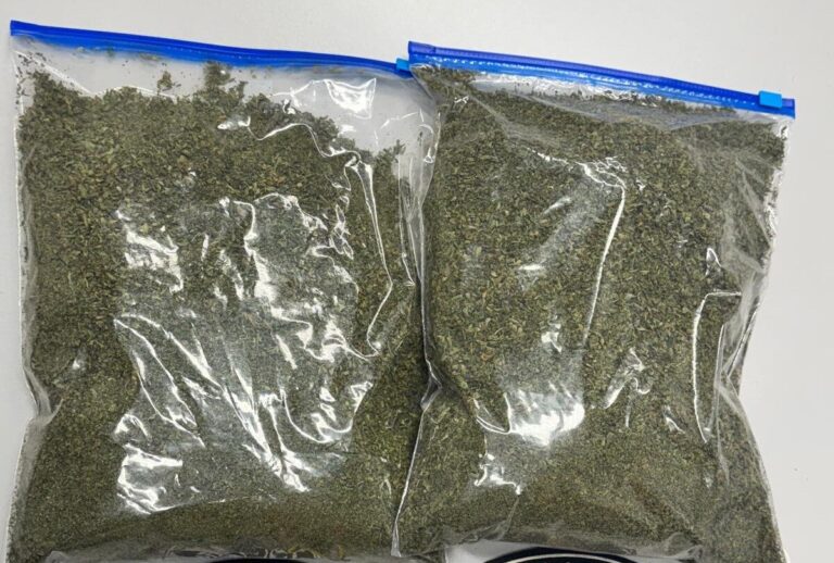 La Policía Local de Mogán detiene a un hombre con más de medio kilo de marihuana en el coche