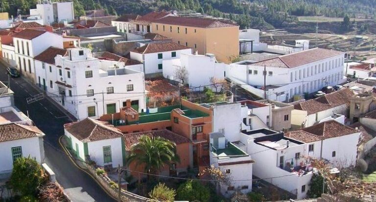 Una jauría de perros ataca varios corrales en Vilaflor, Tenerife