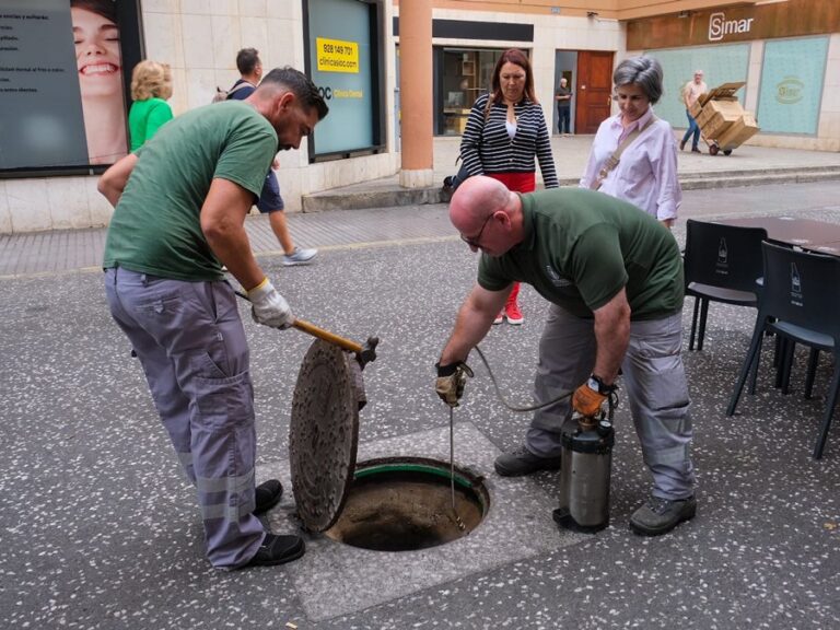 Las Palmas de Gran Canaria publica la licitación del nuevo contrato para la desratización de la ciudad