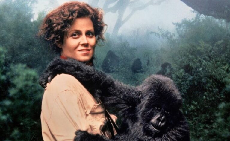 ‘Charlas de cine’ adelanta un mes de febrero con sello científico