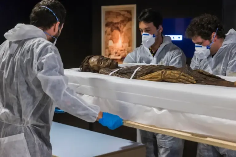 El Cabildo de Tenerife exige el regreso inmediato de la momia guanche tras su retirada del Museo Arqueológico Nacional