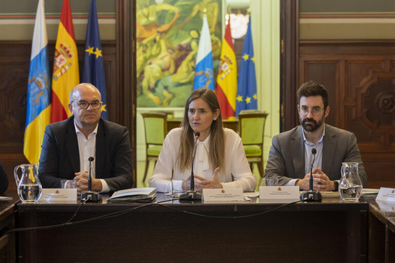 Aagesen acelera el despliegue de renovables en Canarias