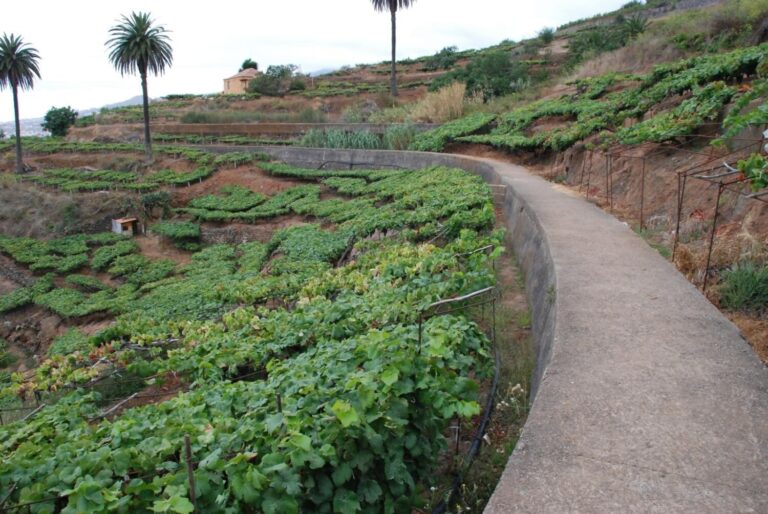 El Cabildo de Tenerife apuesta por rehabilitar el Canal del Norte
