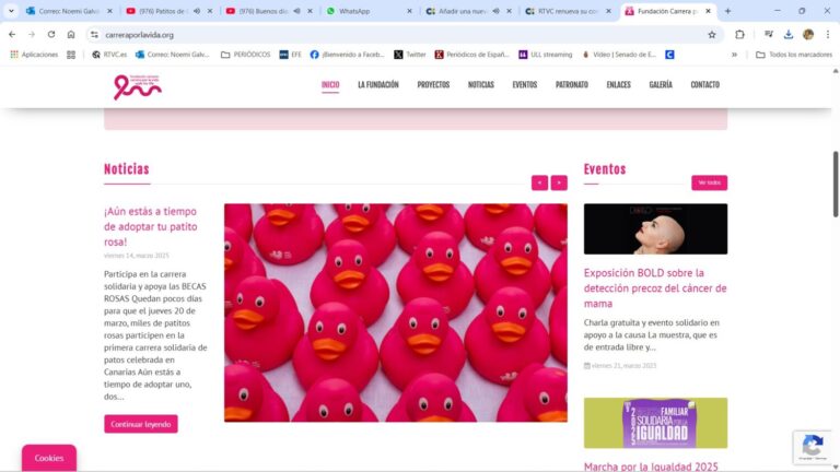 Patitos de Goma para luchar contra el Cáncer de Mama