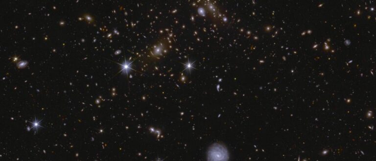 El IAC participa en el mayor mapa detallado del Universo