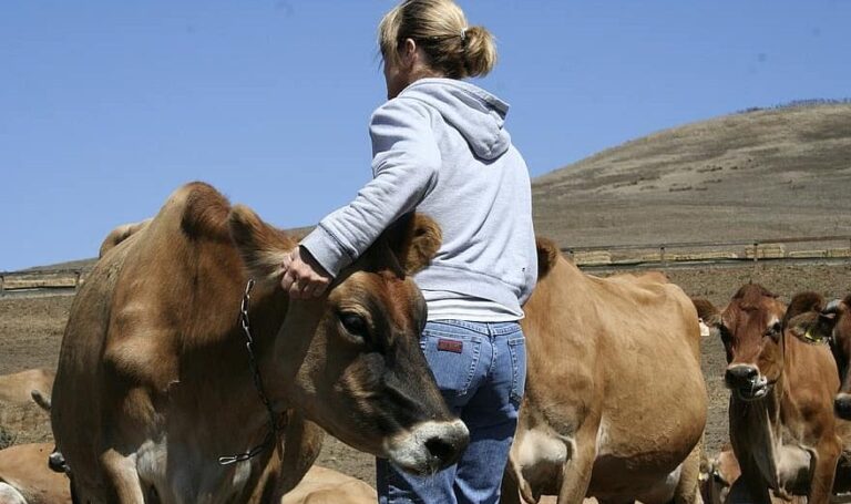 ‘De campo y mar’ descubre el trabajo desconocido de las mujeres canarias en el sector primario