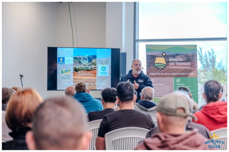 Gran Canaria promueve recuperar los terrenos agrícolas en desuso