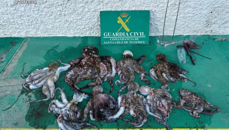 La Guardia Civil sorprende a dos varones pescando ilegalmente en zona prohibida de la costa de Güímar