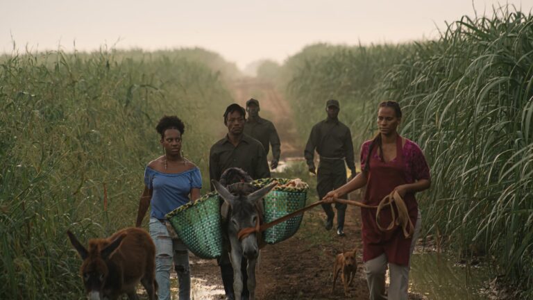 La película producida en Canarias ‘Sugar Island’ obtiene el premio a la mejor fotografía en el Festival de Málaga