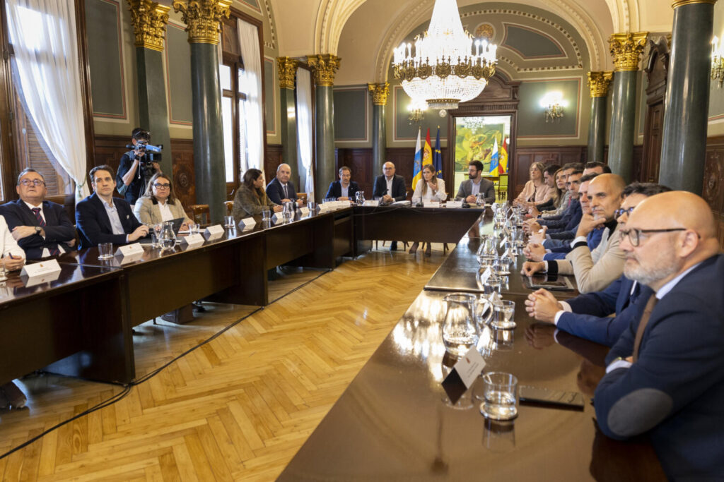 Aagesen acelera el despliegue de renovables en Canarias. Un momento de la reunión celebrada en la Delegación del Gobierno en Las Palmas de Gran Canaria. EFE/Quique Curbelo.