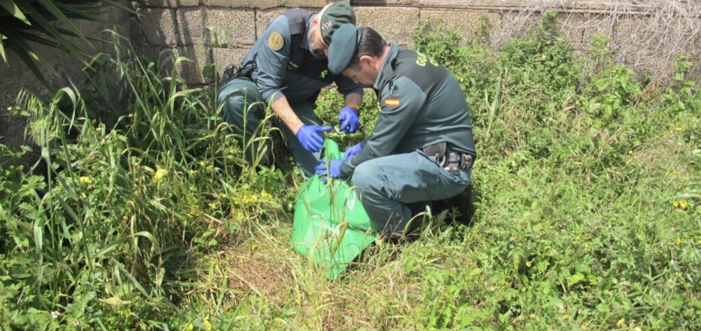 Investigan a un hombre por el hallazgo de un perro decapitado en Tegueste