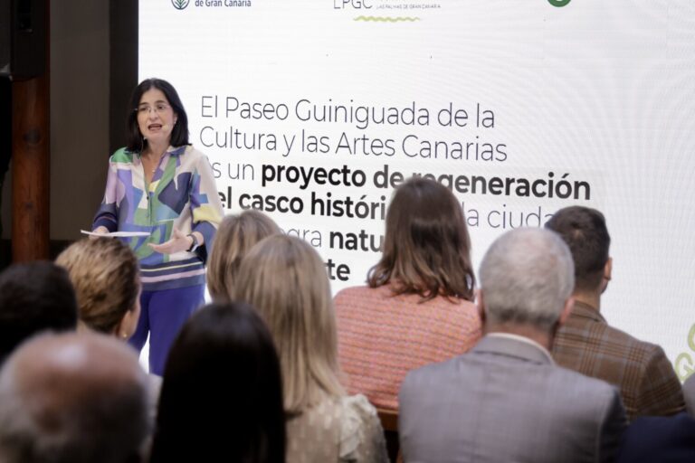 Los cinco proyectos finalistas para el Paseo Guiniguada de la Cultura y las Artes Canarias