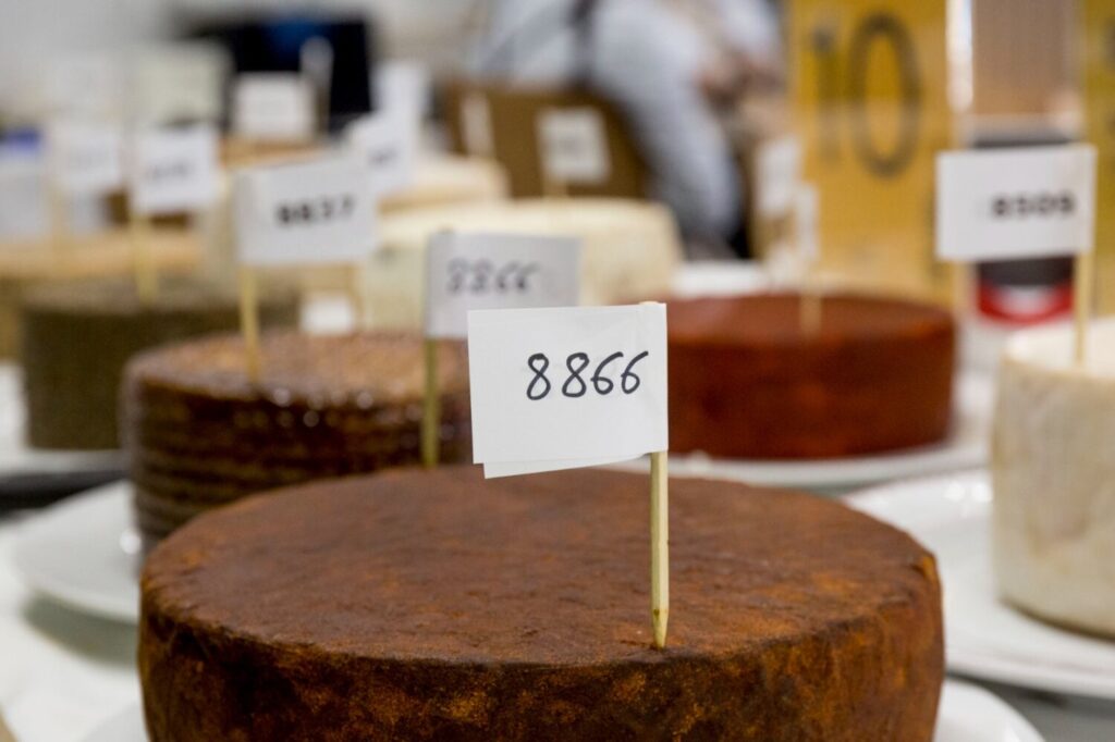 Quesos canarios en el Salón Gourmets de Madrid. Imagen cedida Gobierno de Canarias