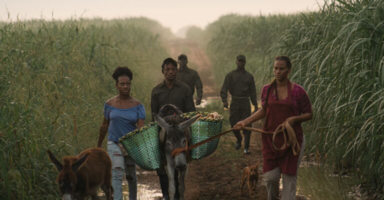 ‘Charlas de cine’, en busca de la isla del azúcar