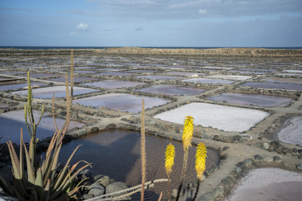 De la rica sal marina de Tenefé a la cocina saludable de los ecocomedores, 'Con Cúrcuma' a la mesa este miércoles en la Radio Canaria