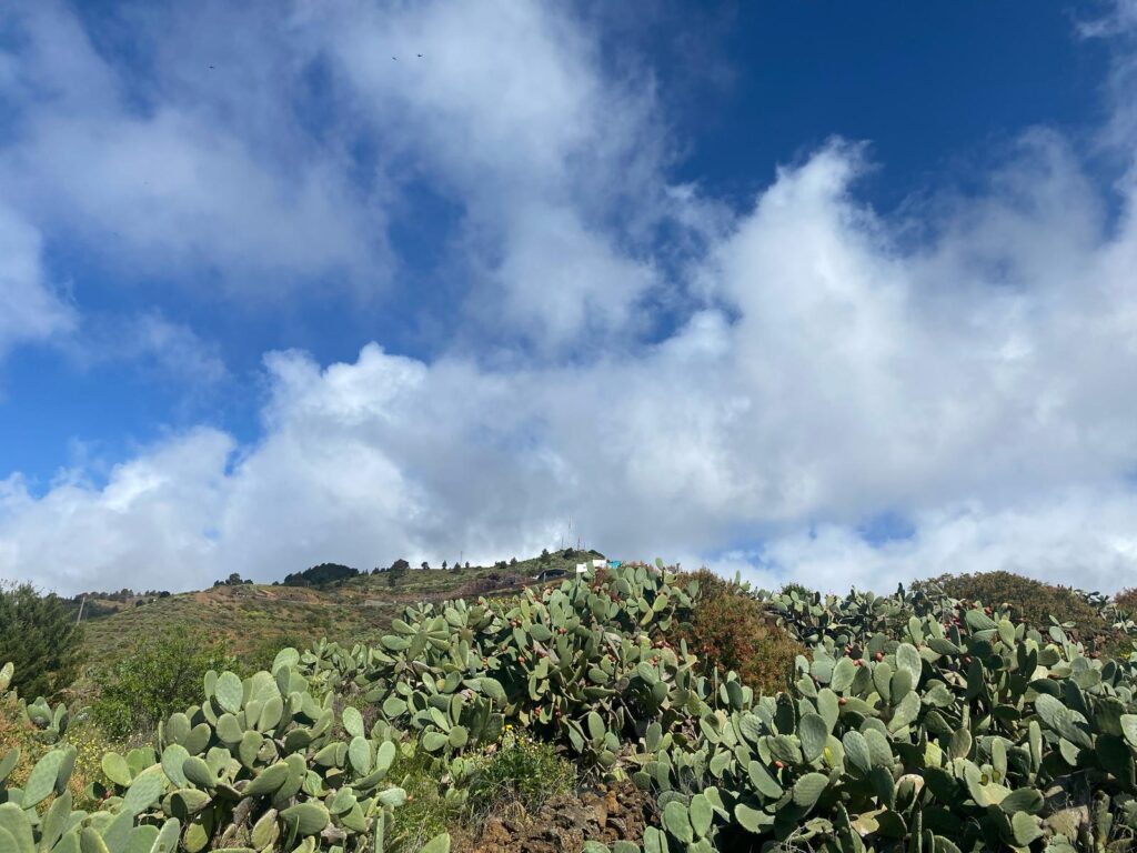 El cielo de la isla de El Hierro/ RTVC.