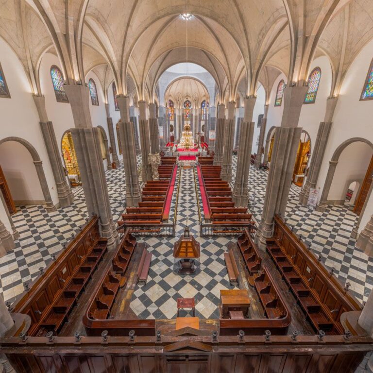 TVC retransmite la histórica ordenación del nuevo obispo de la Diócesis Nivariense