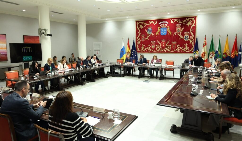 Comisión de Cabildos Insulares en el Parlamento de Canarias. Imagen @parcan