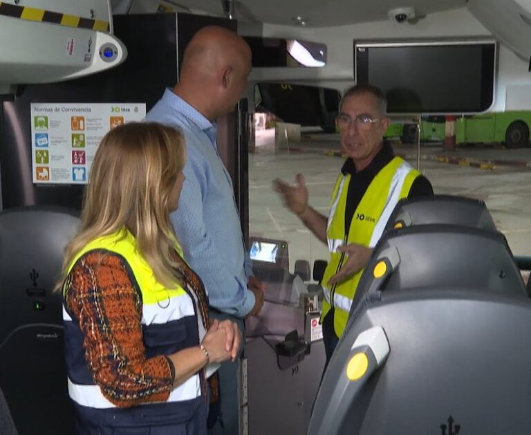 El sur de Tenerife contará con 13 nuevas guaguas y más líneas