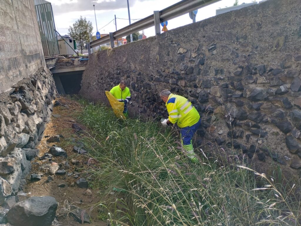 El Ayuntamiento de Las Palmas de Gran Canaria activa un dispositivo especial de limpieza por el paso de la borrasca ‘Olivier’/ Ayuntamiento de Las Palmas de Gran Canaria.