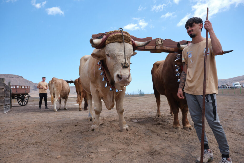 FEAGA 2025 se consolida como una de las ediciones más visitadas con 43.000 asistentes