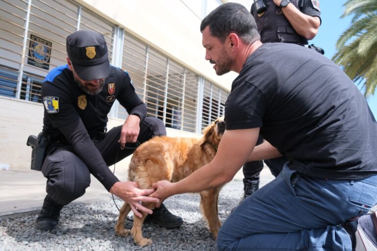 La Policía Local recibe formación sobre primeros auxilios a perros