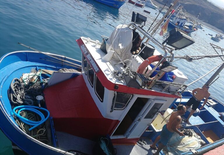 Canarias solicita el establecimiento de un programa POSEI para la pesca