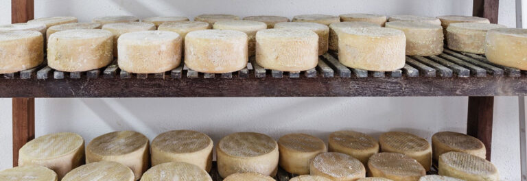 ‘Cebollas Verdes’ apoya los quesos y otros productos canarios en el Salón Gourmets