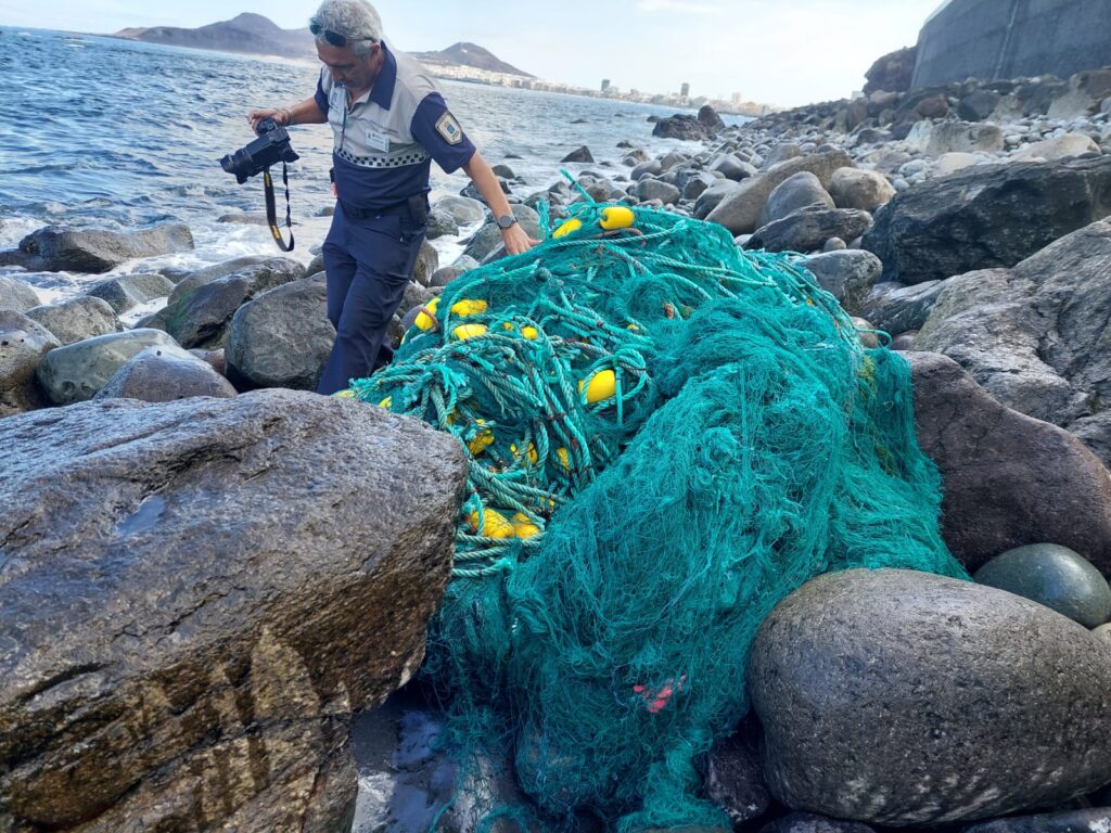 Hallan tortugas y chuchos enredados en una red fantasma en la costa de Gran Canaria