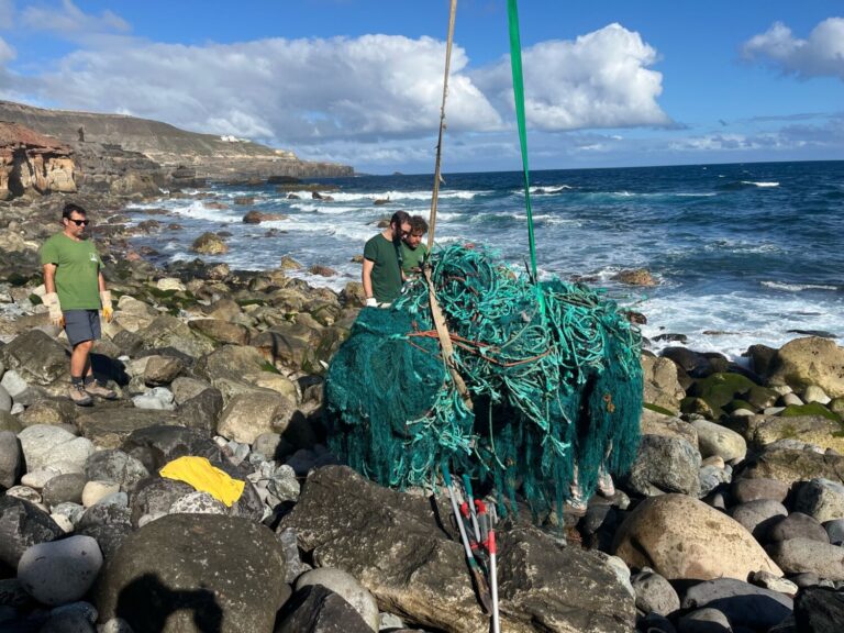 Retirada con éxito la red marina en la que se encontraron tortugas y chuchos