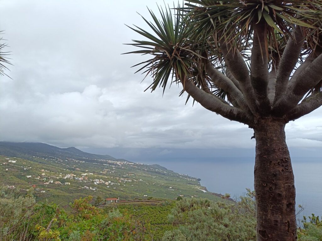 Vista de San Ándres y Sauces desde el Mirador de San Bartolo, Puntallana, en La Palma. RTVC Darío Diaz - Lorenzo Lorenzo.
