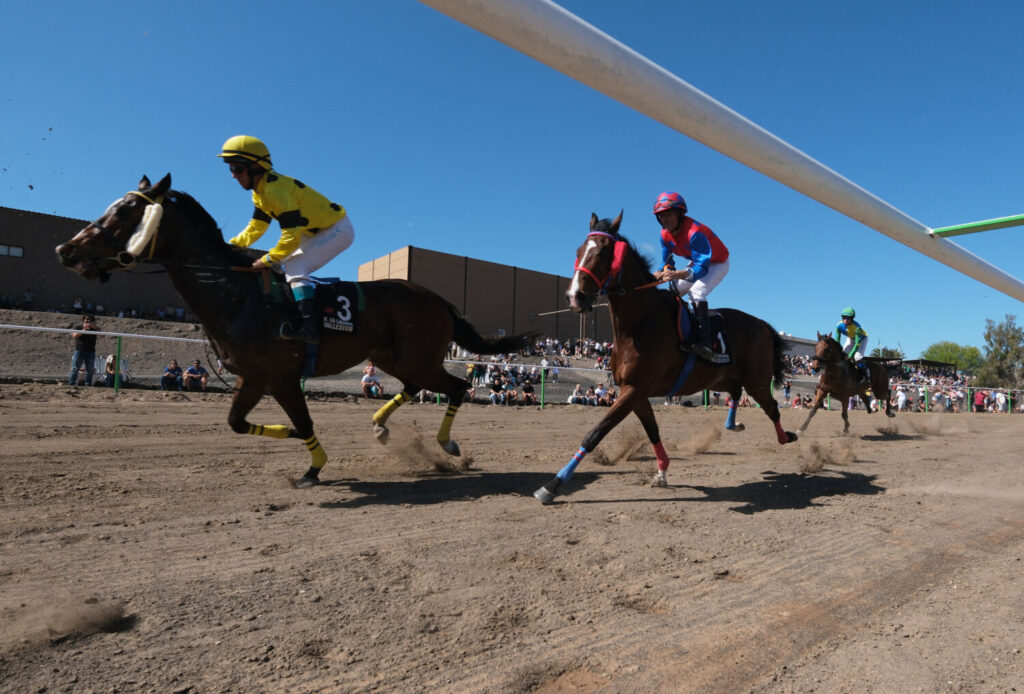 FEAGA 2025 se consolida como una de las ediciones más visitadas con 43.000 asistentes