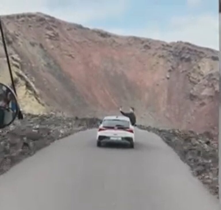 Un turista se graba sacando medio cuerpo por la ventanilla en Lanzarote