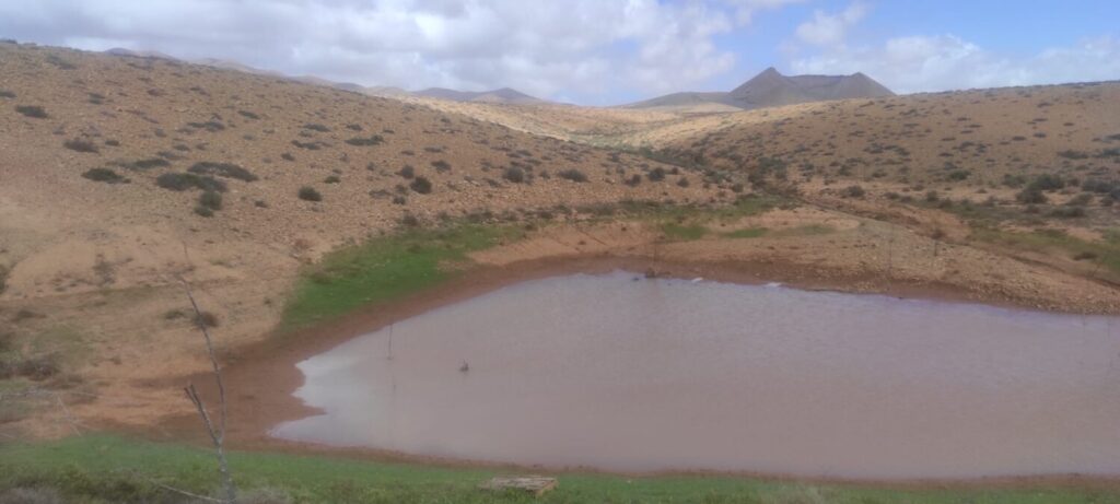 Gavias llenas en Fuerteventura tras el paso de la borrasca Olivier / Daniel Santana