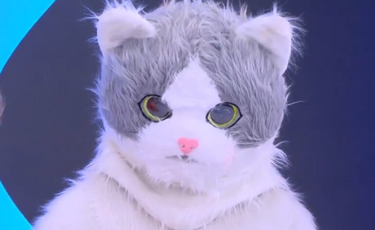 Humor y solidaridad: Miaumorsito se vuelca para ayudar a los gatos callejeros