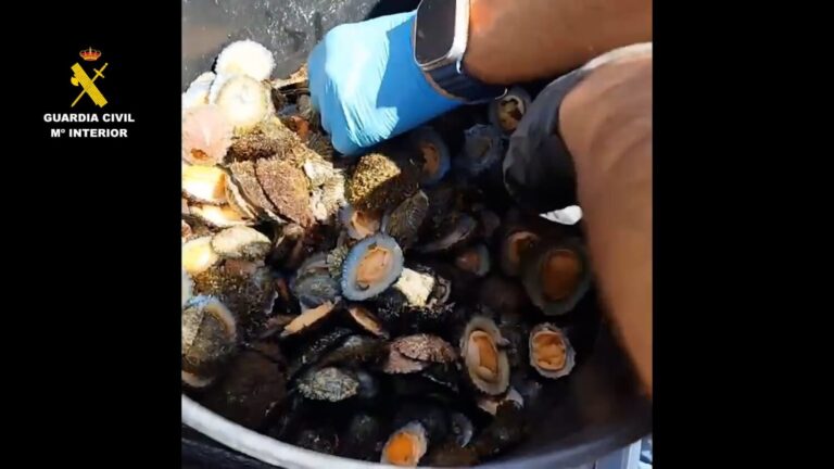 Investigados por realizar pesca furtiva en la costa de Fuencaliente, en La Palma