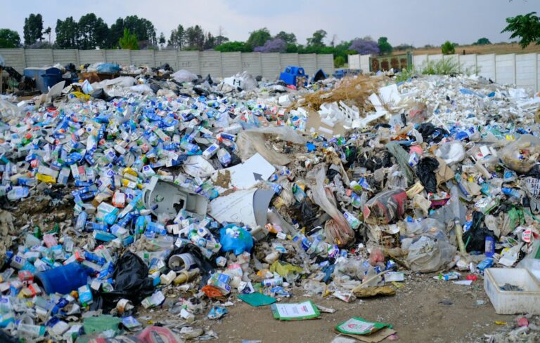 ‘La Buchaca’ enseña cómo convertir los residuos en oportunidades