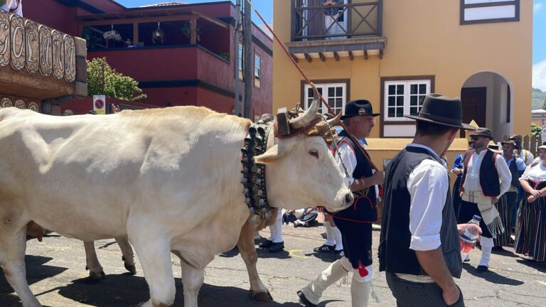 Tegueste vive este domingo la 57ª edición de la Romería en honor a San Marcos