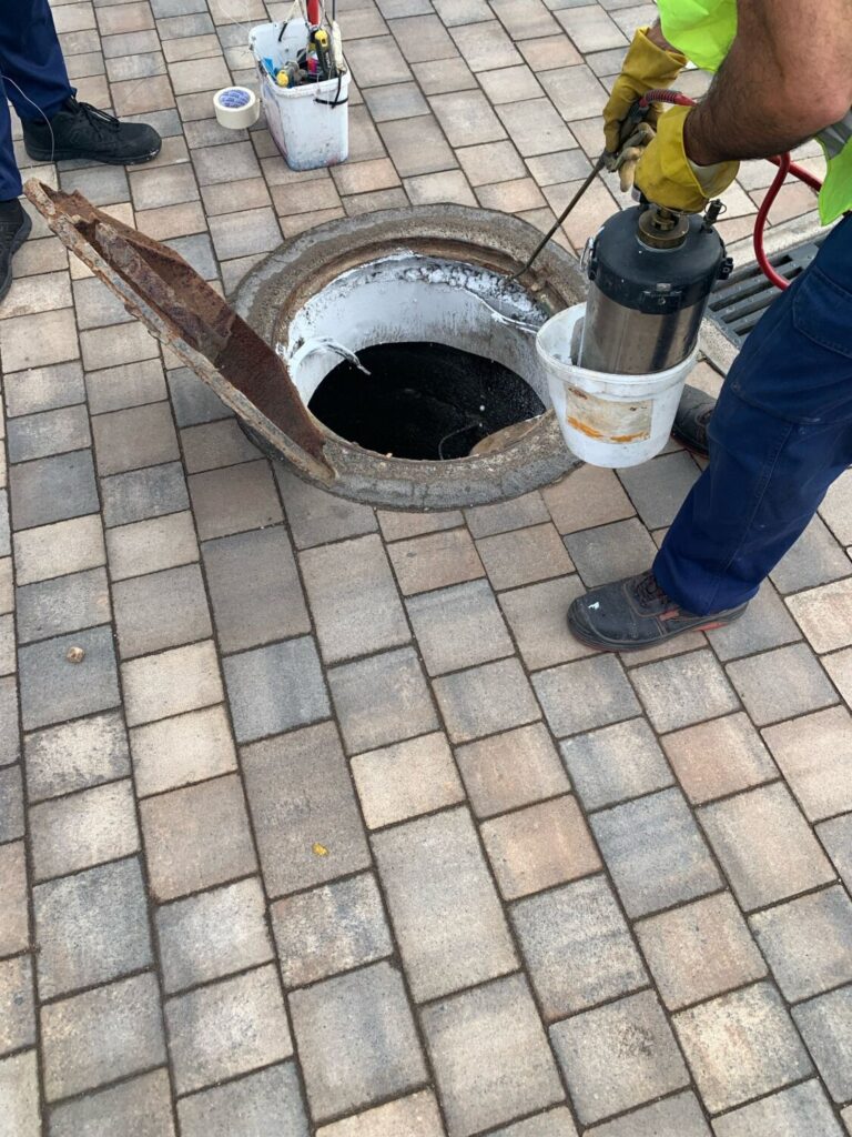 Telde inicia la desinsectación en las zonas de costa del municipio