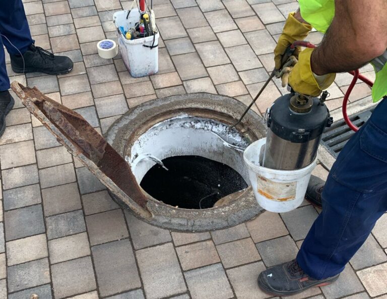 Telde inicia la desinsectación en las zonas de costa del municipio