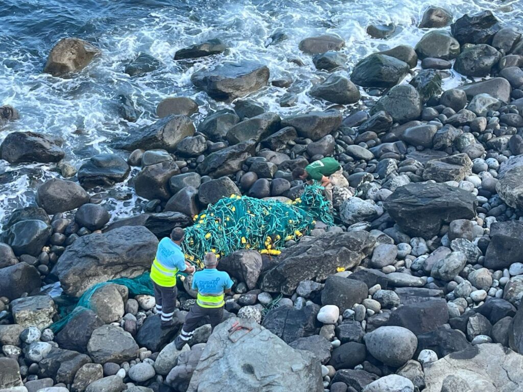 Hallan varias tortugas enredadas en redes de pesca en la costa de Gran Canaria