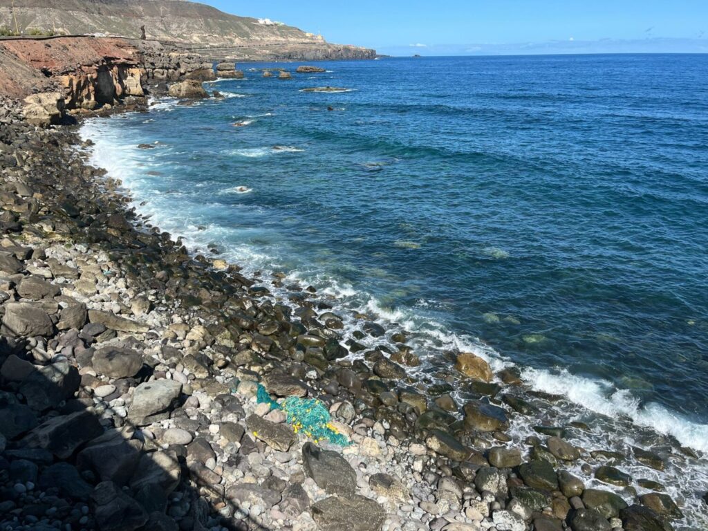 Hallan varias tortugas enredadas en redes de pesca en la costa de Gran Canaria