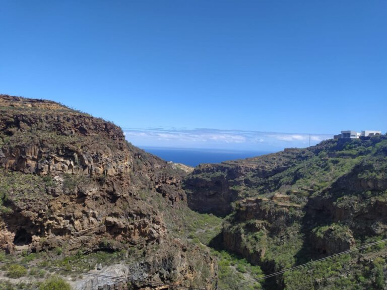 Drago advierte del riesgo de dos espacios protegidos de Tenerife