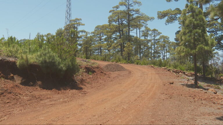 A buen ritmo las obras del proyecto del Cinturón Verde en Puntagorda, La Palma