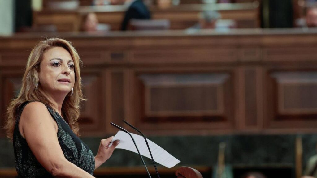 Cristina Valido ha reclamado en el Congreso el cumplimiento del REF y exenciones fiscales a los artistas de Canarias que quieran exponer fuera de las islas 