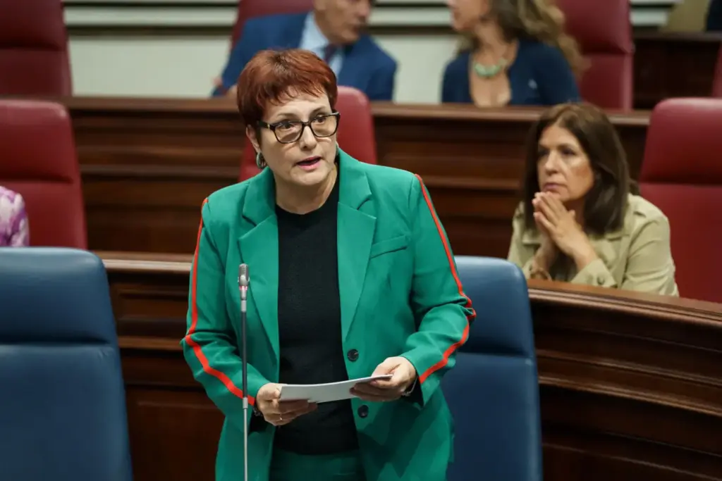 Canarias replica al Estado: quedan mil menores que piden asilo por trasladar. Candelaria Delgado, consejera de Bienestar Social del Gobierno de Canarias. Imagen EFE