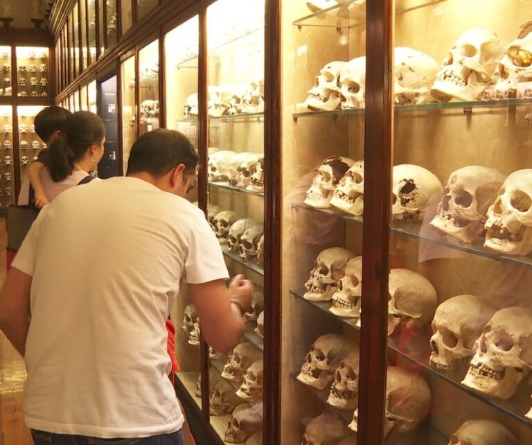 Los museos enseñan sus tesoros en su Día Internacional