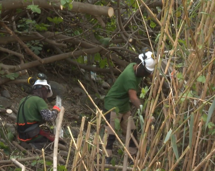 La limpieza de los cauces de los barrancos centra los trabajos de los operarios del Cabildo de La Gomera para prevenir incendios forestales